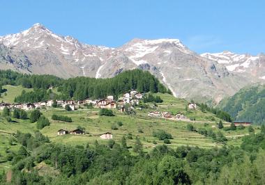 Pejo